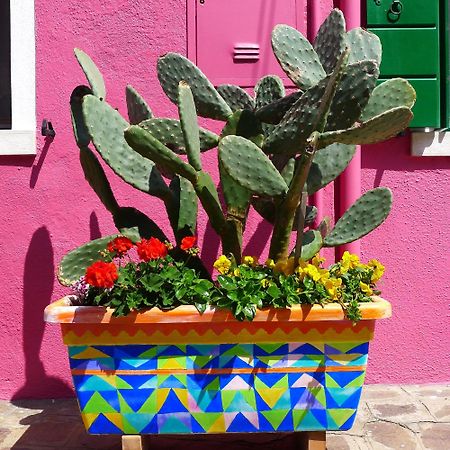 Night Galleria Holiday Home - Bed & Art In Burano - The Pink House Bagian luar foto